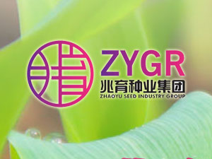 【簽約】河北兆育種業集團有限公司,簽署網站改版升級合同