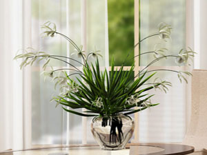 【簽約】張家口智仁商貿有限公司,網站系統開發項目