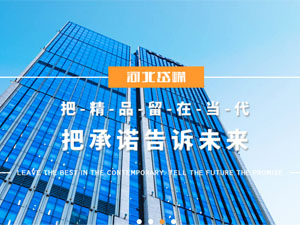 河北岱嶸建設(shè)有限公司,與我公司簽署網(wǎng)站建設(shè)合同
