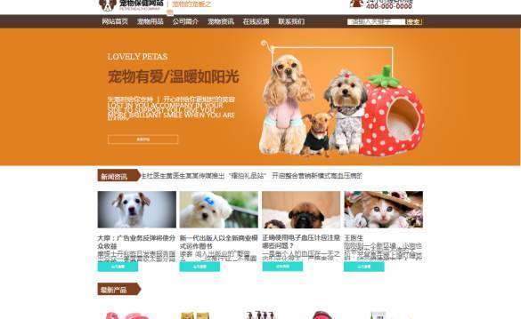 企業(yè)網(wǎng)站建設(shè),網(wǎng)頁(yè)轉(zhuǎn)換系統(tǒng)的信息