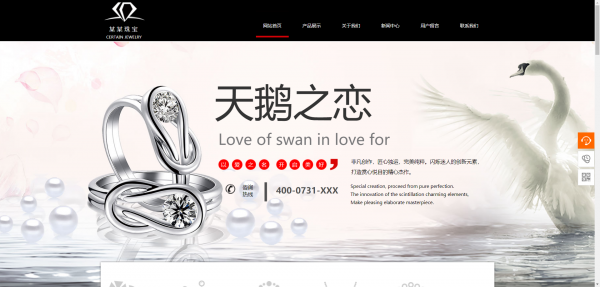 企業網站建設,視頻網站運營模式類別