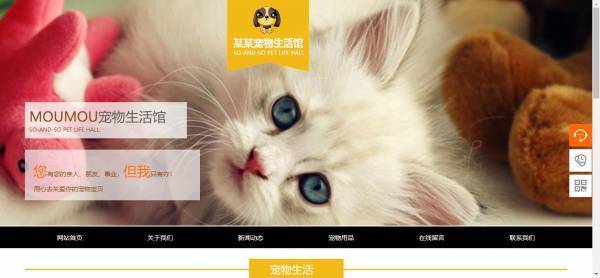 企業(yè)網(wǎng)站建設(shè),網(wǎng)站性價比