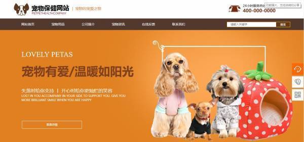 公司網站制作，明確建站目的和功能定位