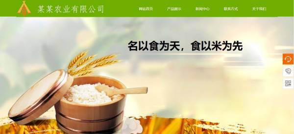 企業網站建設,農業信息網站建設的現狀分析